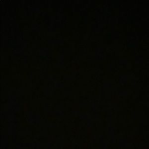 Meet your Posher, Leila